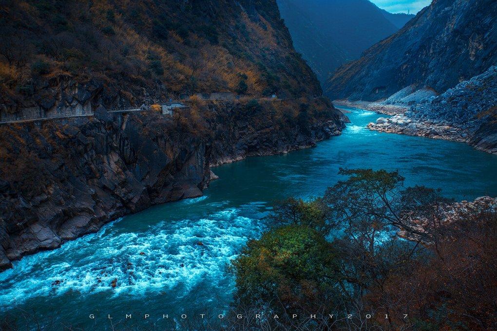 动物帮帮忙保卫家园
