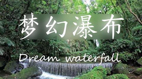 小猫钓鱼正版下载中文版